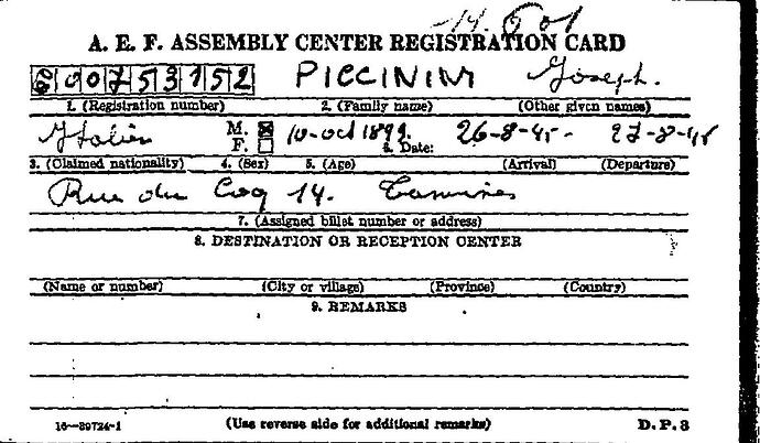 Document from the Arolsen Archives with the ID: 46109010a