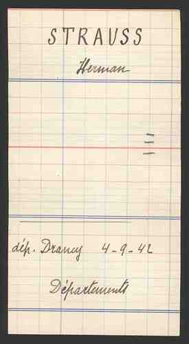 Document from the Arolsen Archives with the ID: 133732116