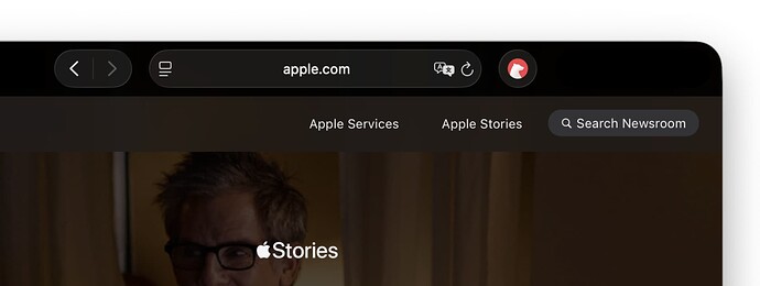 Safari browser extension