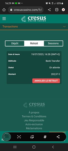 Screenshot_20230719-162926_Chrome