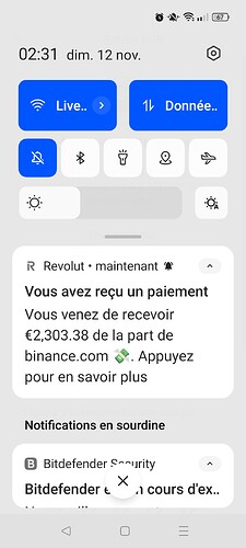 Screenshot_2023-11-12-02-31-01-15_ee1cec40dcf6eb3919ecbfc5d87e6719