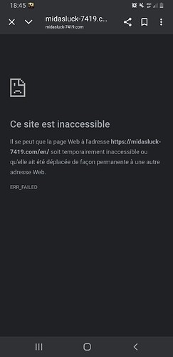 Screenshot_20250728-184518_Chrome