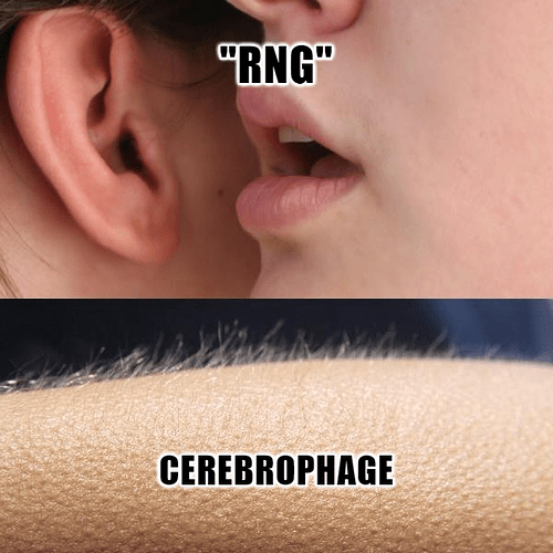 Whisper and Goosebumps