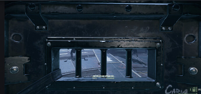 Backstop and Drub shield POV.png