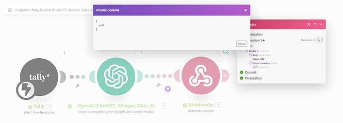 WEBHOOK OUTPUT CONTENT (NULL)