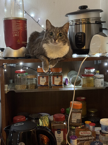 20250226_001102778_iOS