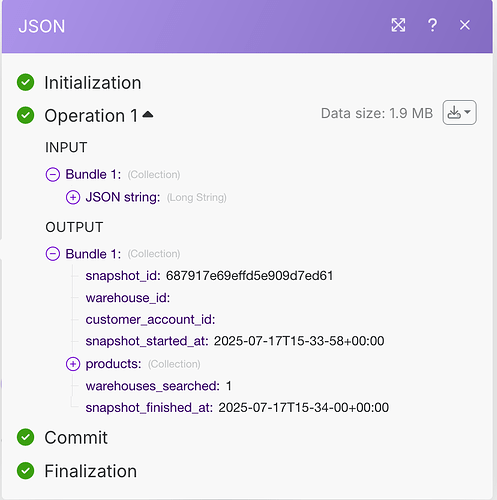 03_shorter_json_parse_success