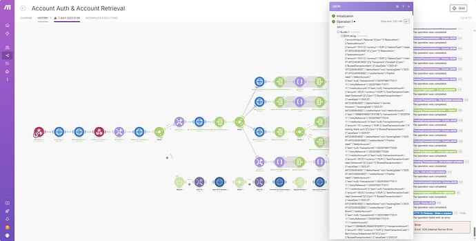 screenshot-500 server error Json
