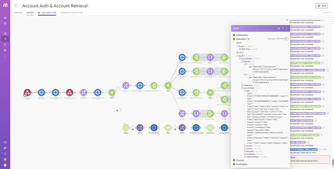 screenshot-Json Error