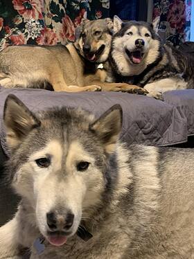 Cristopher, Maya, Ac