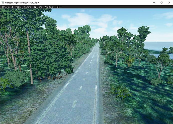 Microsoft Flight Simulator 08_01_2021 13_40_08