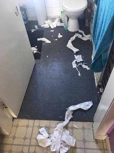 toilet roll.jpg