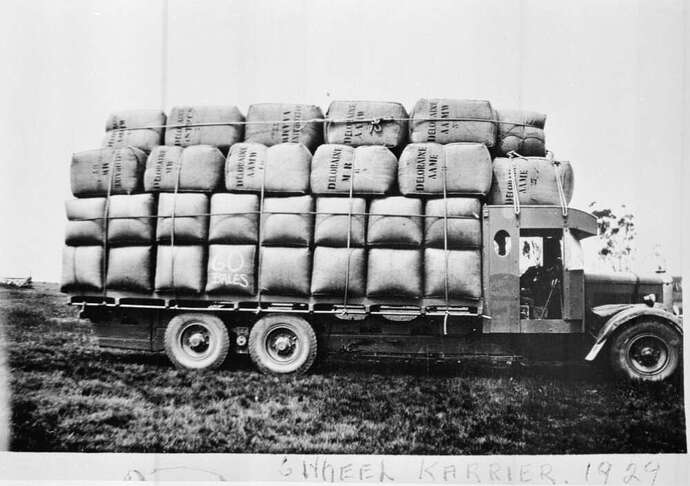 17622466345826103696477909942898