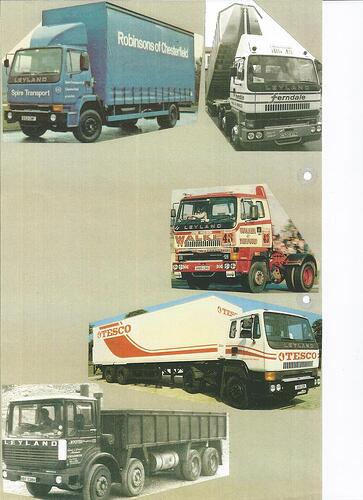 Scan0005.jpg