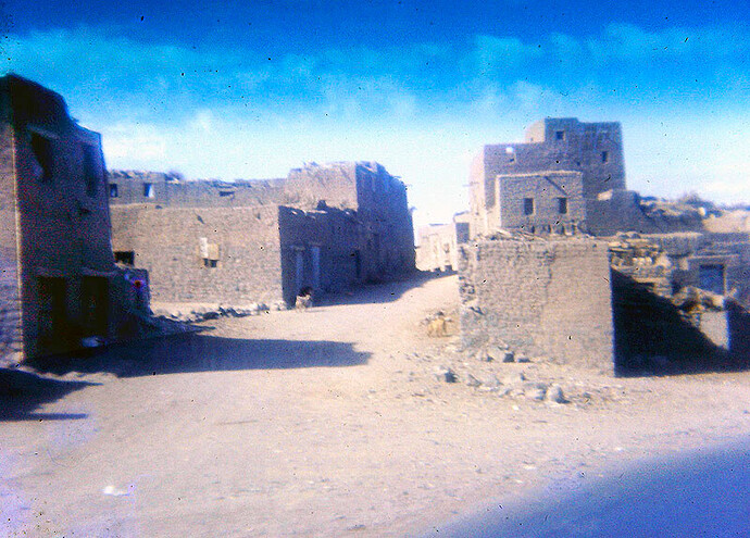 oasis_vilage_1.jpg