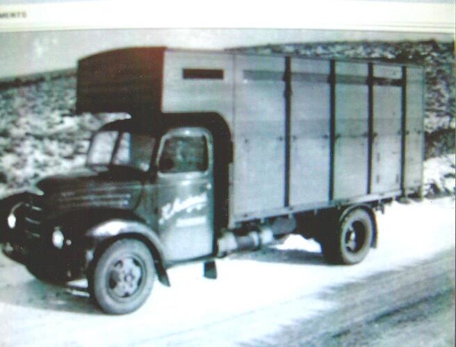 Scan61.jpg
