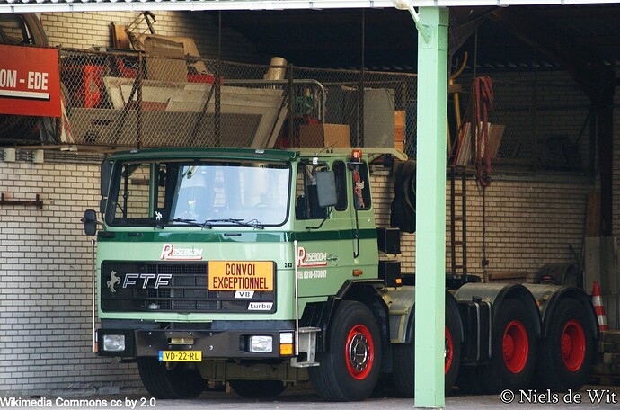 FTF1989_FTF_FS20_M_26_DT  cr Niels de Wit cc by 2.0 _(14098220409)...jpg