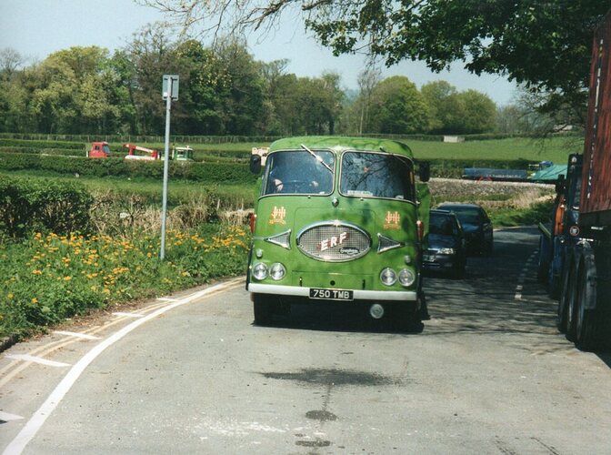 img010.jpg