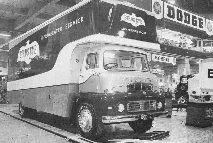 Birds Eye Frozen Foods D308 Dodge.jpg