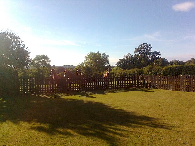photo0310.jpg