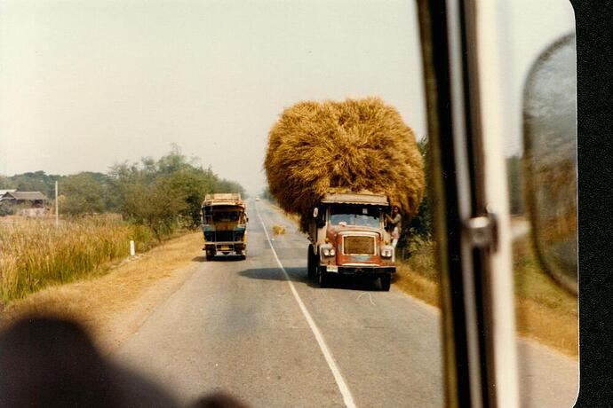 thai trucks001.jpg