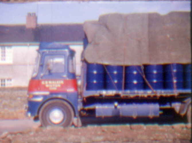 img387.jpg