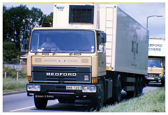 L9165p.JPG
