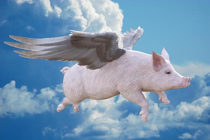 pigs-fly-flying-pig-wings-feathers-flies-clouds-sky-s-time-to-get-your-business-sales-marketing-102257918.jpg