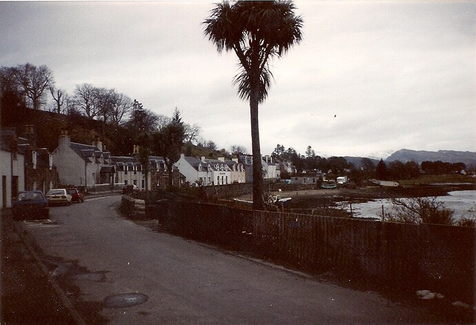 scan0003.jpg
