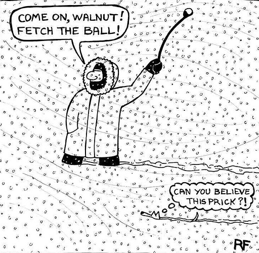 Walnut-OTL.jpg