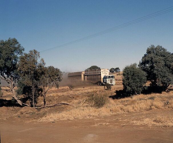 OZ 51024164333_b2cdff78c7_c