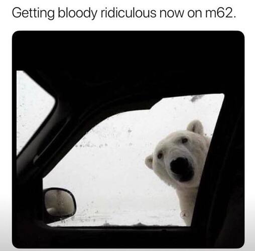 m62.jpg