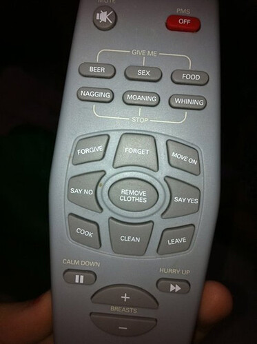 Remote.jpg