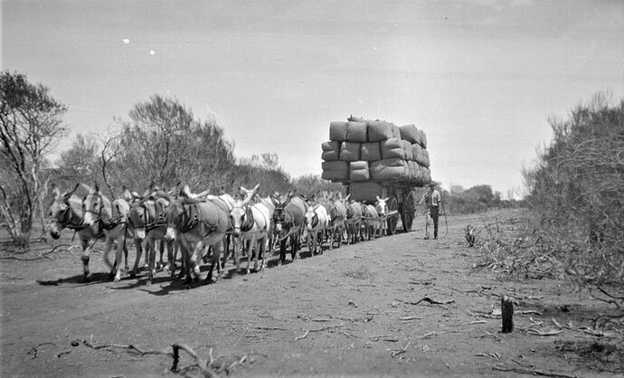 566215803_2035758817236685_673634263368790789_n