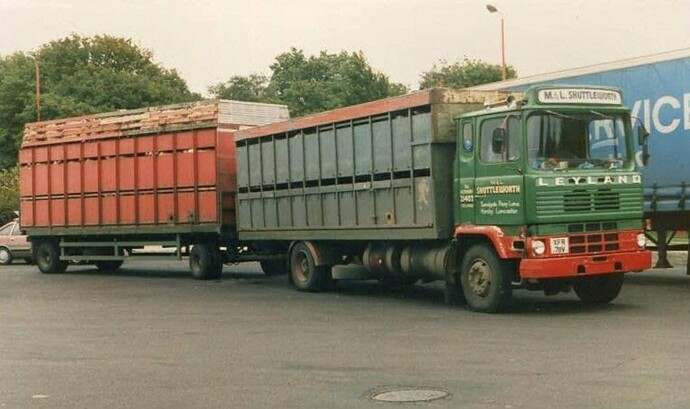 558981565_25209510065365835_3850856765213663210_n