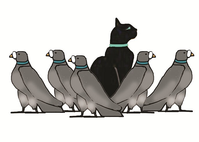 cat_amongst_the_pigeons.jpg