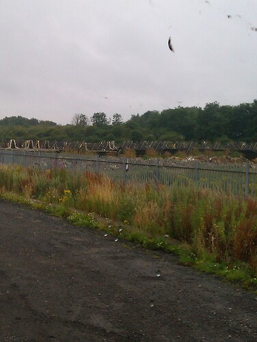 IMAG0049.jpg