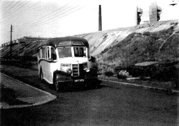 loo-y_bus2_900.jpg2.jpg