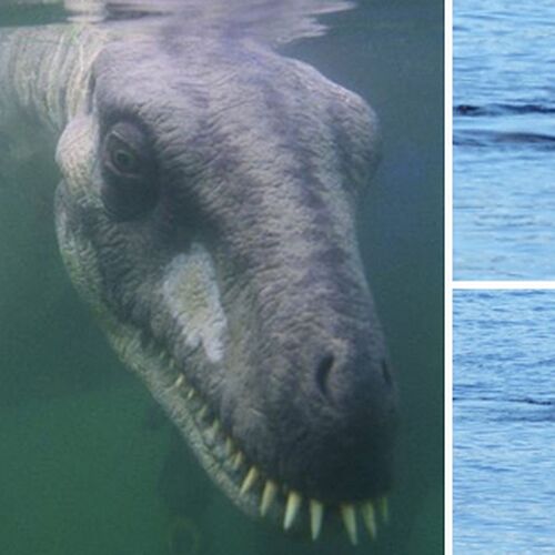 Loch Monster.jpg