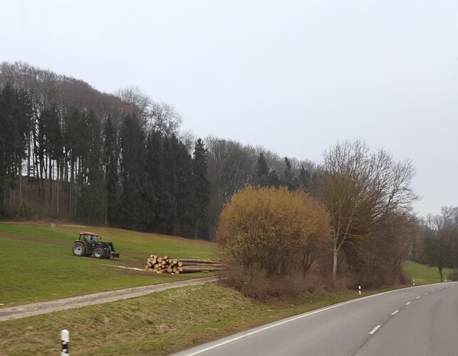 20180206_122436.jpg