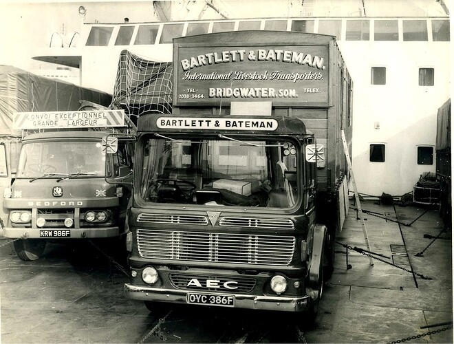 FB_IMG_1758102217681