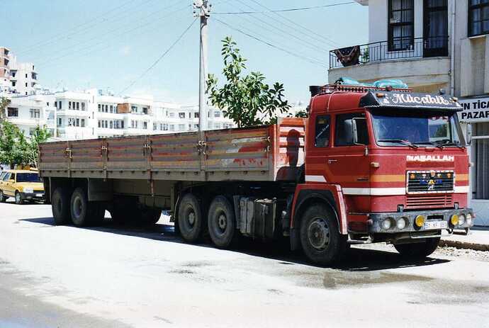 img100.jpg