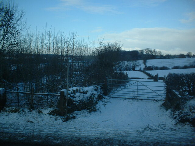 DSCF0010.JPG