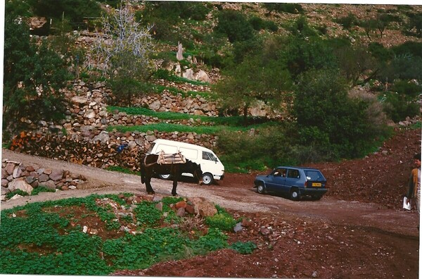 scan100.jpg