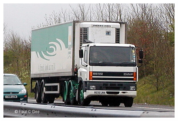 P4030074p.JPG