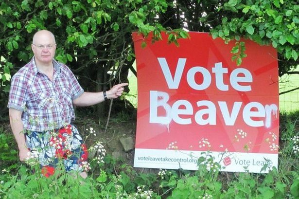 Vote Beaver.jpg