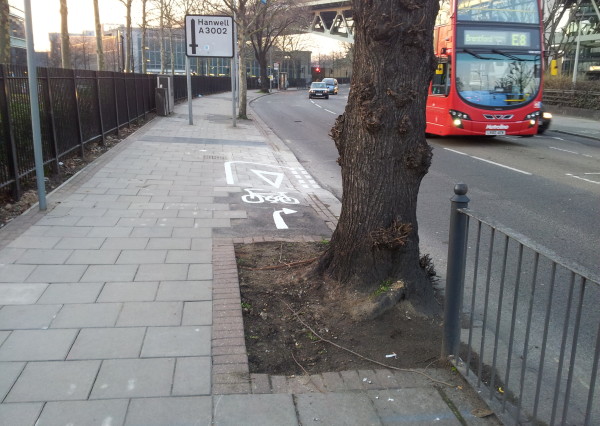 BostonManorTree.jpg