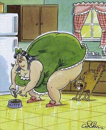 scared_cat_cartoon_kitty_frightened_of_fat_lady_from_behind_FUNNY_FAT_PEOPLE-s368x449-56775-580.jpg