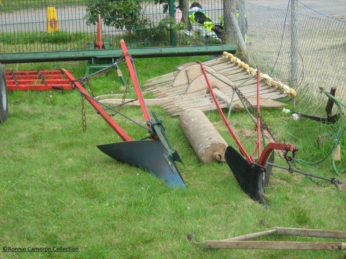 Farm Ronnie 5255199350_11114c9ce6_rcc o.jpg