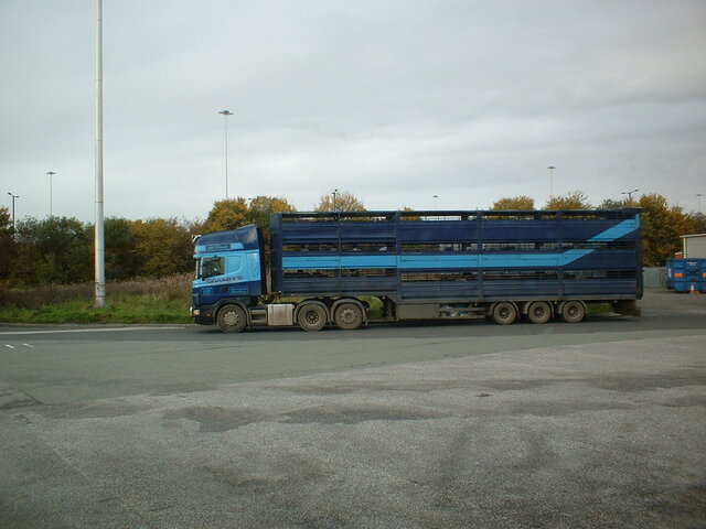 DSCF0008.JPG